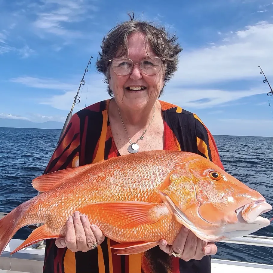 Reef Fishing Charters in Port Douglas