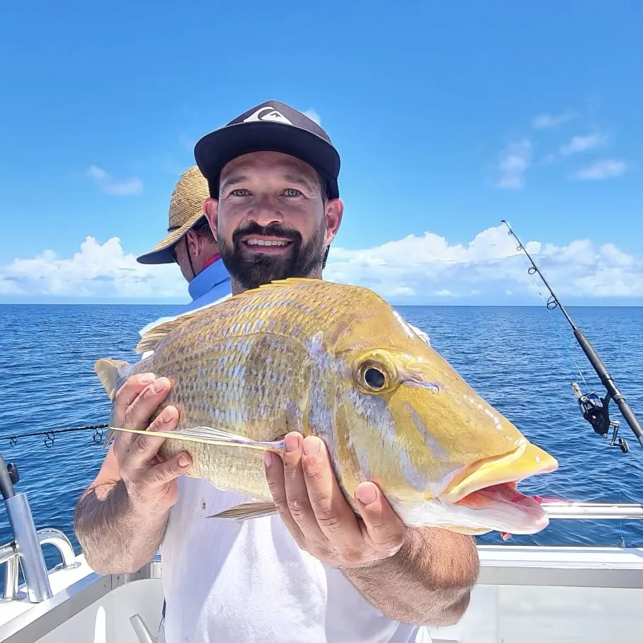 Reef Fishing Charters in Port Douglas