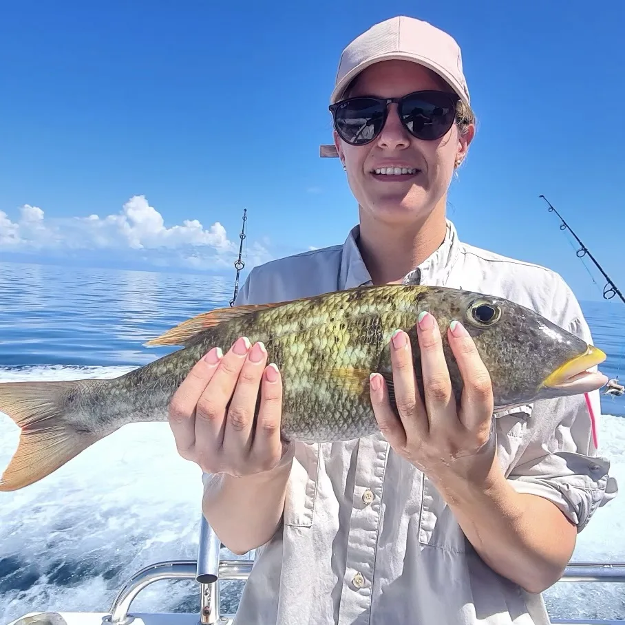 Reef Fishing Charters in Port Douglas