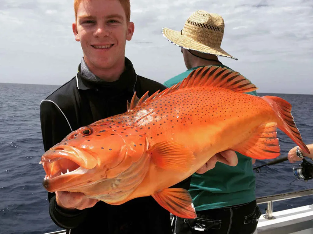 Reef Fishing Charters in Port Douglas
