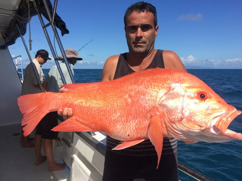 Reef Fishing Charters in Port Douglas