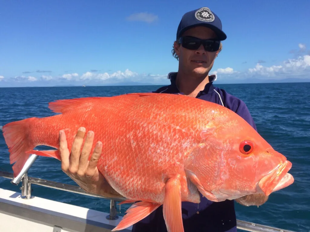 Reef Fishing Charters in Port Douglas
